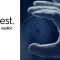 Essilor Stellest logo with hands holding concentric circle lens design