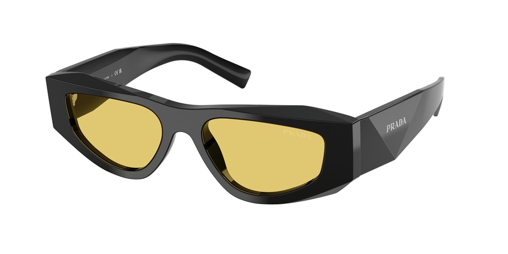 Image of eyewear model 0PR_B19S