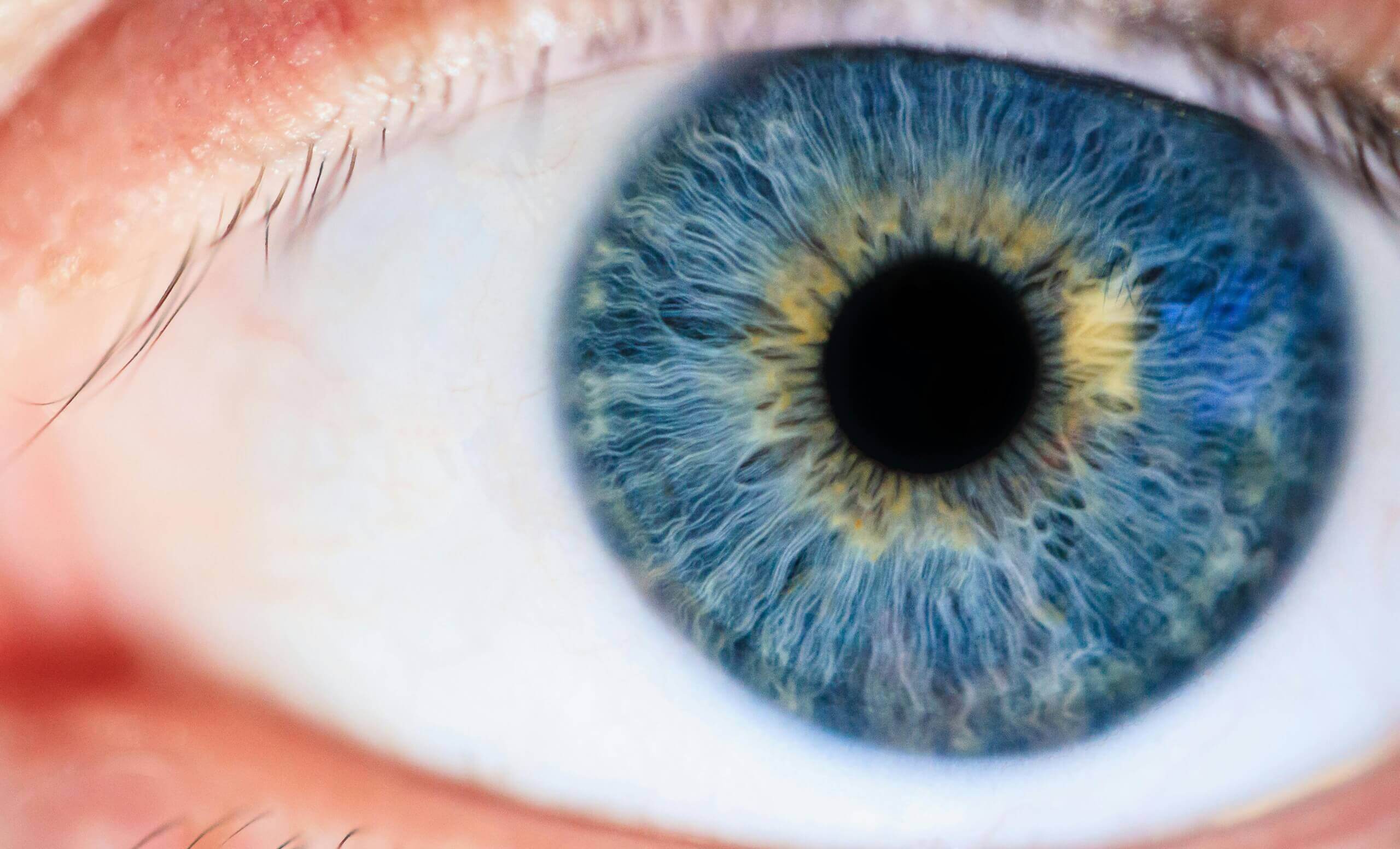 Image d''un oeil