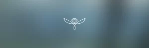 Image du logo Kering Eyewear