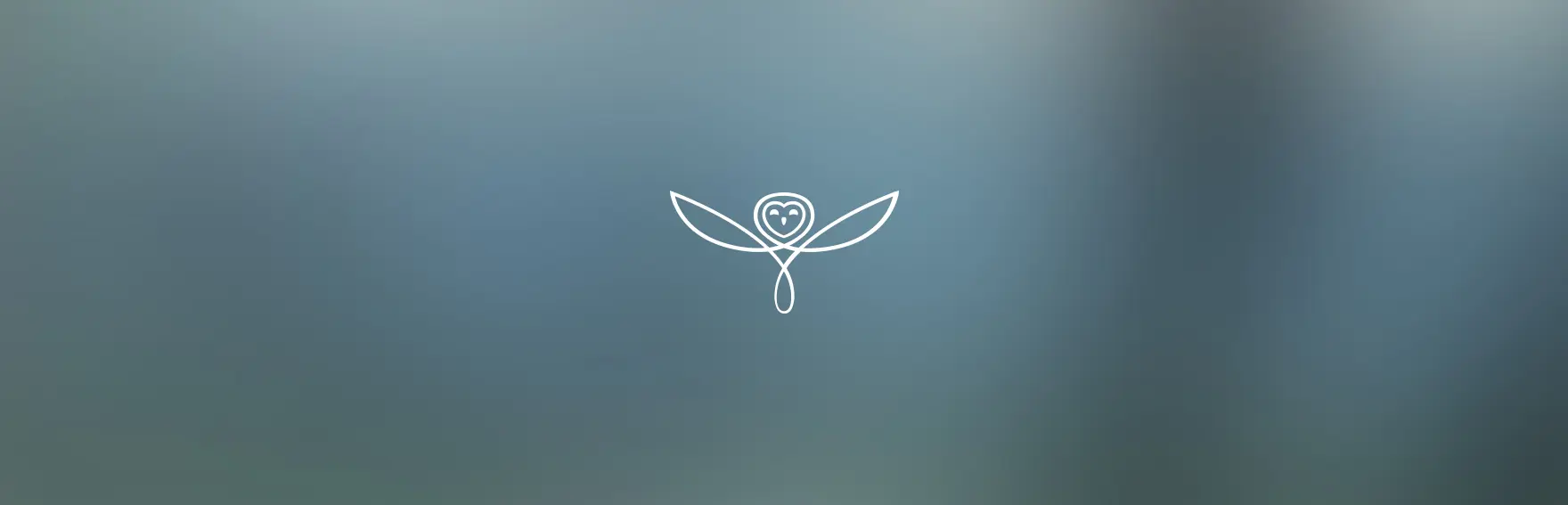 Image du logo Kering Eyewear