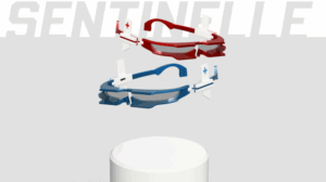 SENTINELLE + eyewear