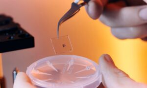 Close-up of hands using tweezers to handle a small electronic component or microchip above a clear laboratory dish, showcasing the precision engineering and miniaturization work involved in smart eyewear technology development.