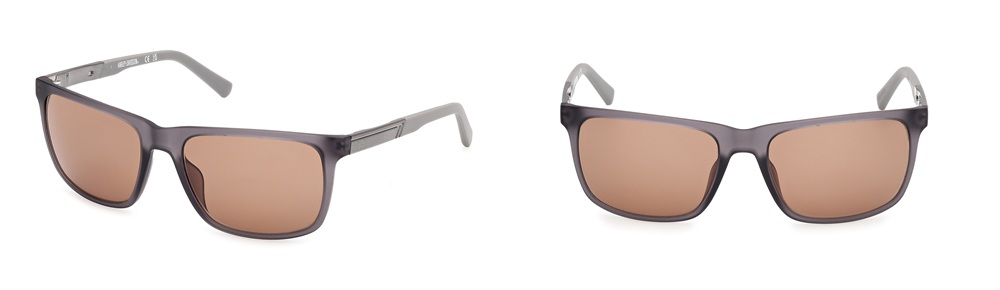 Sunwear model: HD00020_20E