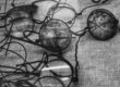 Black and white photograph showing a collection of deteriorated vintage eyeglasses and spectacles scattered on a textured fabric surface. The historic frames display visible signs of aging and degradation, with some lenses appearing cloudy or damaged, illustrating the preservation challenges faced by cellulose nitrate and acetate eyewear materials over time.