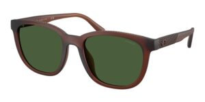 Coach HC8442U sunglasses in matte transparent brown with green solid lenses featuring crosshatch pattern on temples