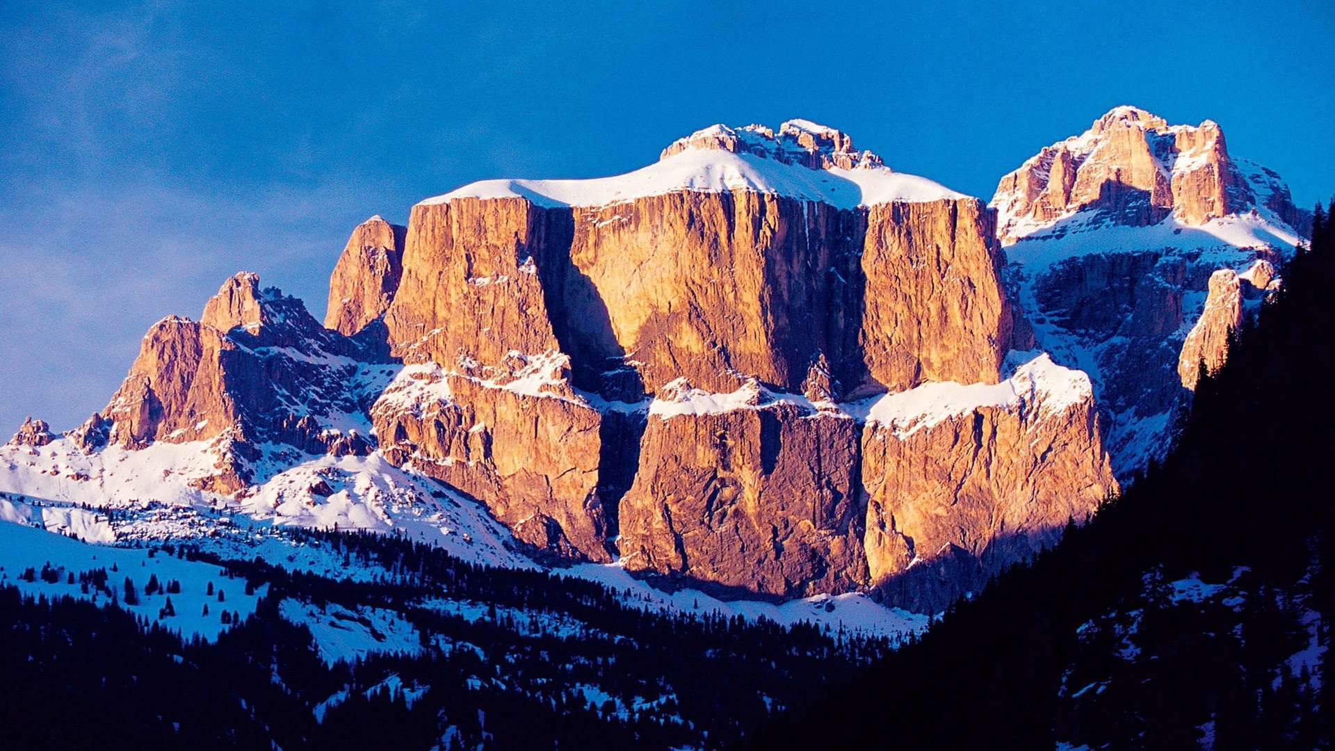 Formations rocheuses des Dolomites enneigées baignées d'une lumière dorée au coucher du soleil, avec des forêts de pins enneigées au premier plan et un ciel hivernal bleu profond.