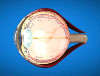 3D cross-section illustration of a human eye showing internal anatomy including the cornea, lens, retina, blood vessels, and optic nerve, on a blue background.