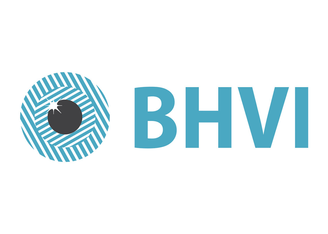 Logo du Brien Holden Vision Institute